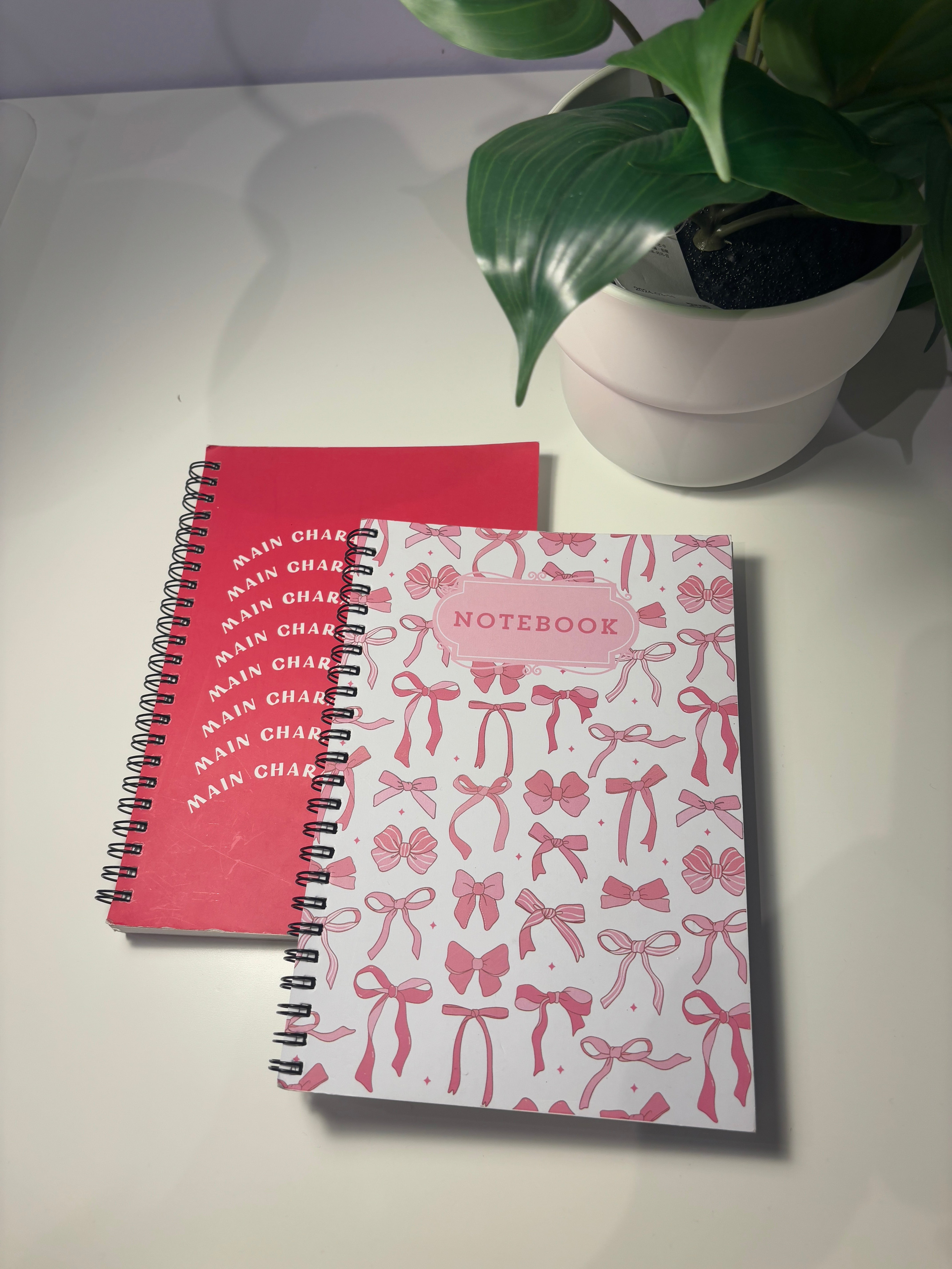 Main character & Pookie PACK OF 2